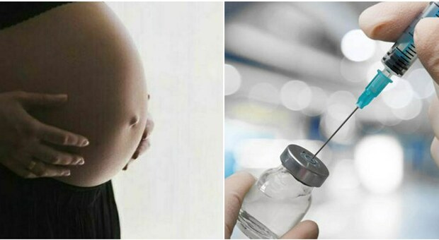 Vaccino in gravidanza, i ginecologi: «È sicuro e non ci sono rischi, l'mRna non può arrivare al feto»