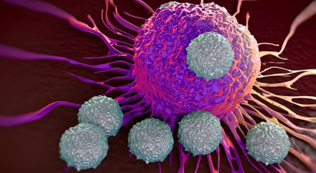 Cancro precoce, aumento drammatico negli under 50. I ricercatori: «Ecco i fattori di rischio dei tumori»