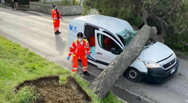 Cade un gigantesco albero su un'auto dell'Asur. Gravissimo il conducente