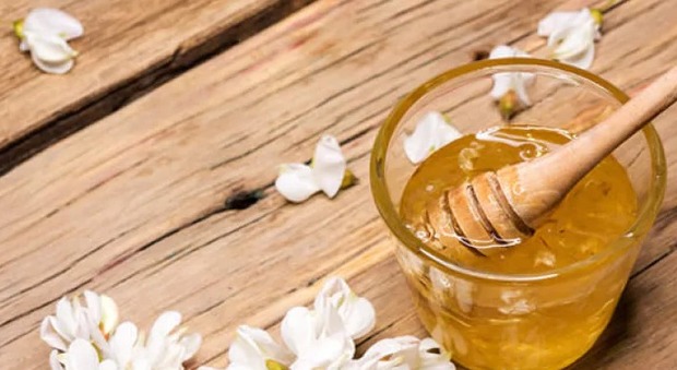 Il maltempo mette in ginocchio gli apicoltori: niente miele d’acacia