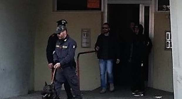 Fermo, blitz nel bunker dello spaccio: rottweiler e coltelli puntati contro gli agenti