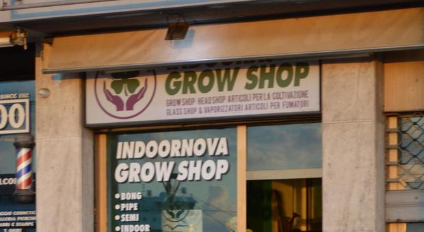 Salvini: «Basta con i cannabis shop» Ma ad Osimo apre un altro negozio