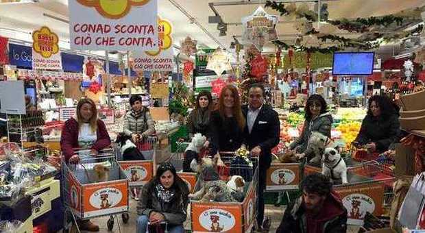 Ascoli, il supermercato apre a cani e gatti su idea della Brambilla