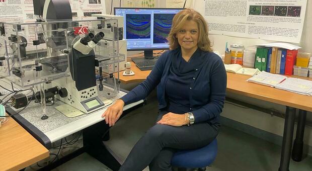 Luigia Cristino, direttrice del laboratorio di Neurochimica e plasticità sinaptica all'Icb-Cnr di Pozzuoli