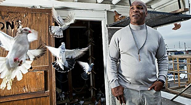 Mike Tyson ha lasciato la fidanzata perché ha cucinato e mangiato uno dei suoi piccioni preferiti