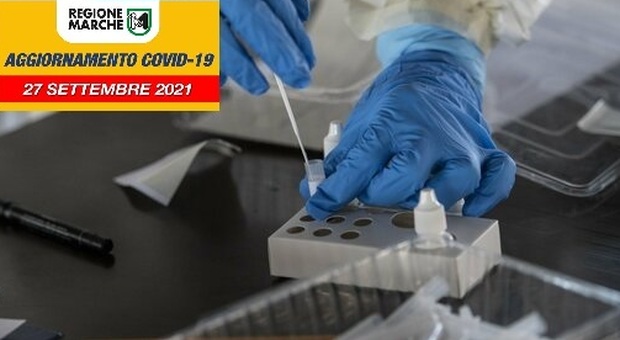 Coronavirus, soltanto 26 nuovi positivi e due province a zero, ma crolla il numero dei tamponi/ Il trend dei contagi