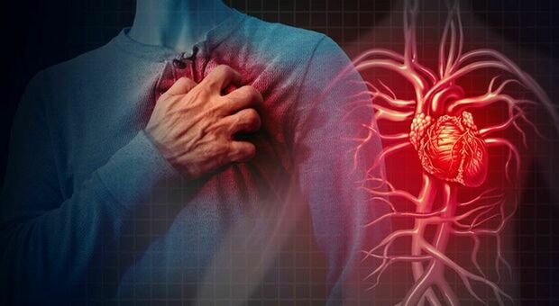 Infarto, un gene per riparare i danni subiti dal cuore: la scoperta apre la strada a nuovi trattamenti