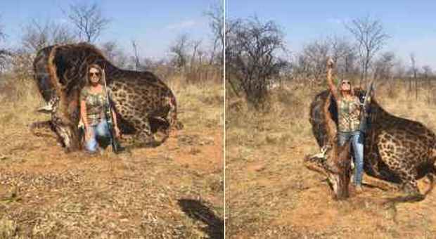 Cacciatrice americana uccide una giraffa nera e posta la foto: valanga di insulti sui social