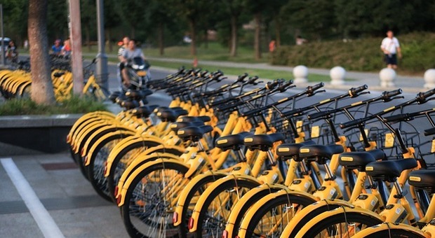 Via al bike sharing, saranno 5 gli hub: «Pronto l appalto». Ecco i tempi per la messa a punto del progetto