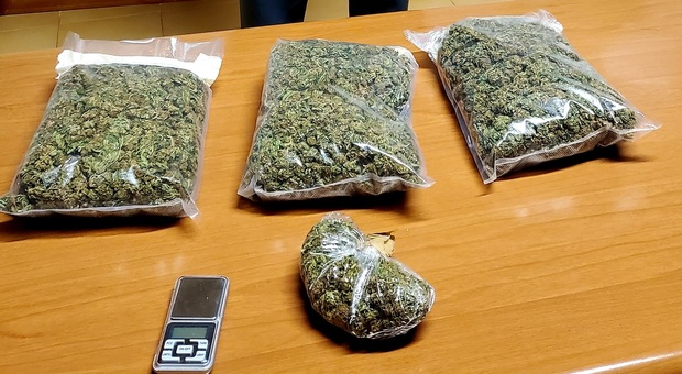 Civitanova, strano via vai nel condominio: arrestato pusher con quasi due kg di marijuana. Nei guai anche la fidanzata