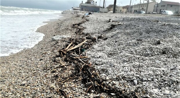 Le grandi pulizie della spiaggia: il conto per il Comune è salato. L'obbligo della differenziata fa aumentare i costi