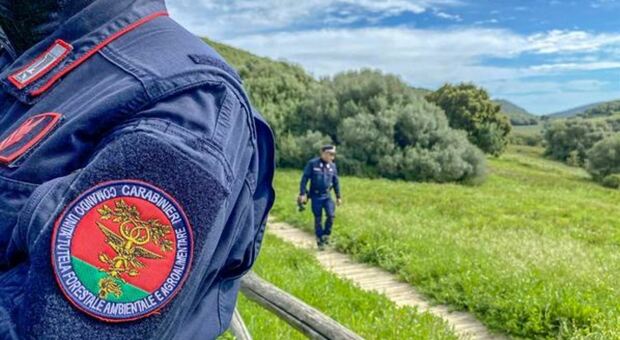 Immondizia abbandonata e gestita male: 111 accertamenti e 11 multe in Romagna al confine con le Marche