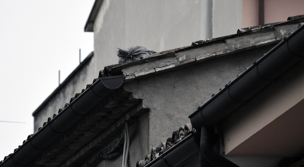 Un sacco dell'immondizia lanciato sul tetto di una casa
