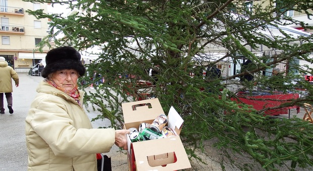 San Benedetto, i vandali addobbano l'albero di Natale con le lattine di birra