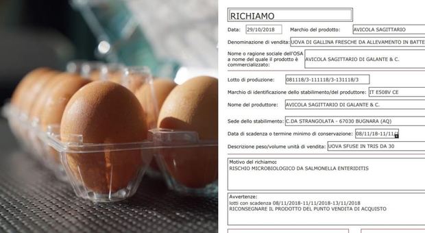 Uova contaminate dalla salmonella I lotti ritirati dai supermercati