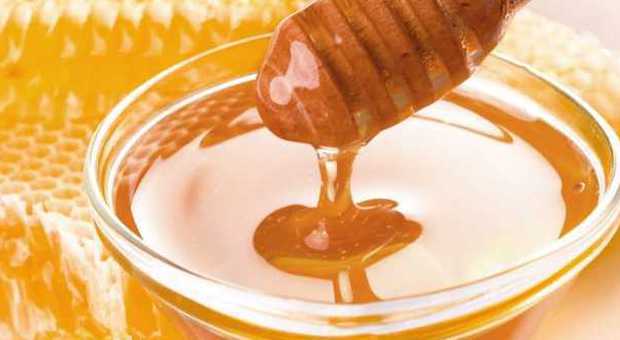 Un cucchiaino di miele al giorno per dimagrire: ecco quando mangiarlo