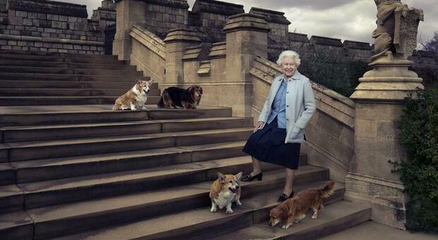 Brutta notizia per la Regina Elisabetta: niente passeggiate con i suoi cani per motivi di salute