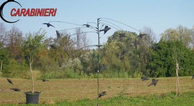Pesaro, una giostra elettrica con uccelli finti per attirare le prede: tre cacciatori denunciati