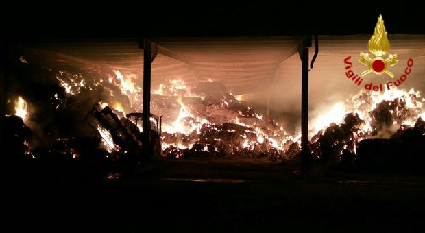 Isola del Piano, un fulmine scatena l'inferno di fuoco in un allevamento