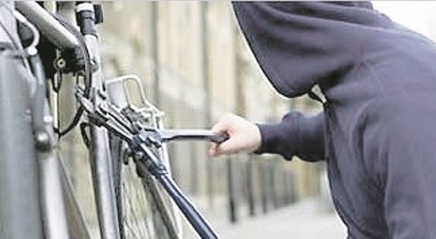 Fermo, impennata di furti: ogni giorno scompaiono decine di biciclette e motorini