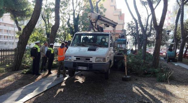 Dopo la pinetina altri alberi saranno abbattuti a Marzocca: altre polemiche