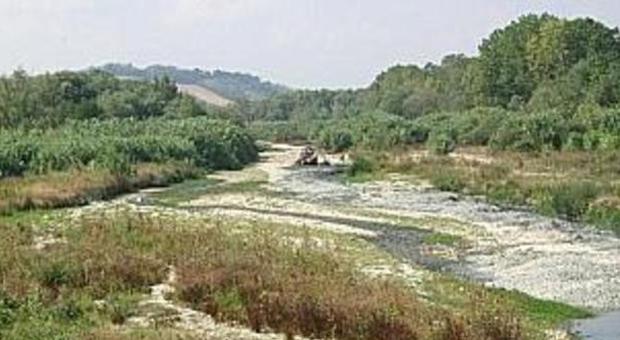 La foce del fiume Cesano