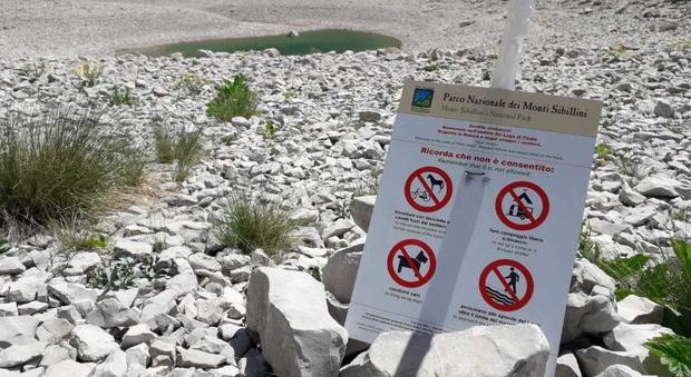 Sibillini, una recinzione al lago di Pilato sul monte Vettore per salvare il rarissimo chirocefalo