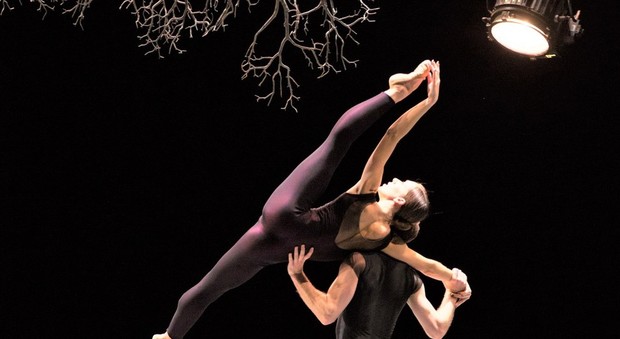 I due ballerini del Boston Ballet