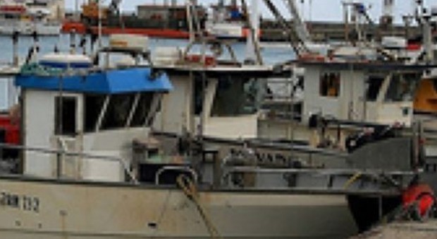 Ancona, in balia delle onde col timone rotto: salvato dagli altri pescherecci