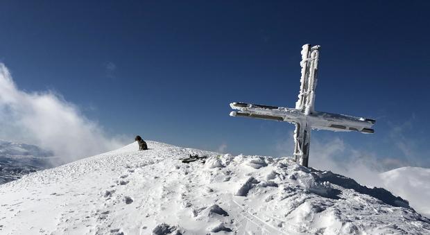 Adotteranno il cane salvato sulla neve Merito della foto scattata a 2.400 metri