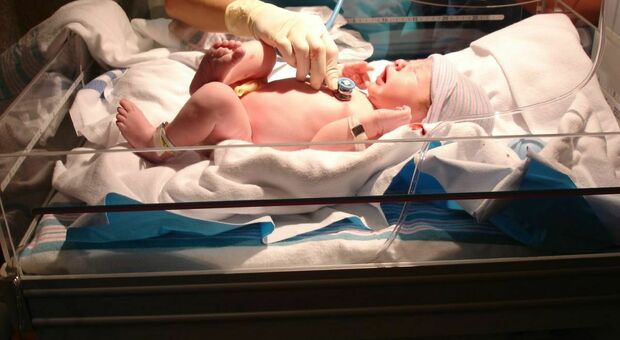 Nascere oggi in Italia, storie dal reparto di terapia intensiva neonatale