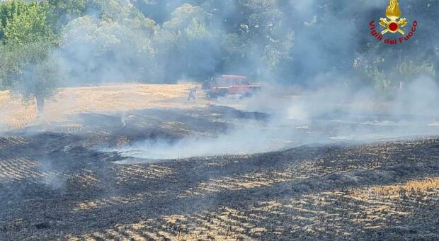 Caldo e siccità colpiscono duro: incendio distrugge 5mila mq di terreno a Osimo