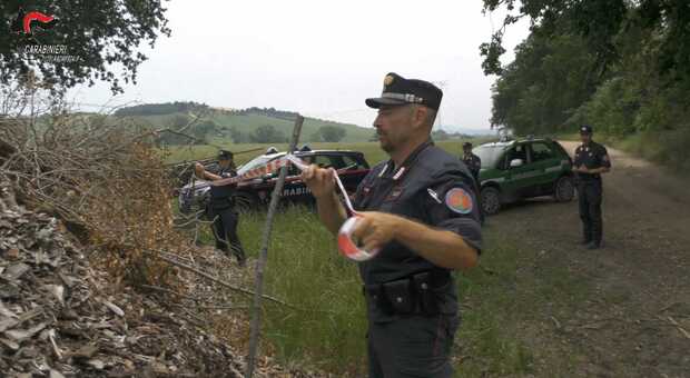 Una delle aree sequestrate dai carabinieri forestali