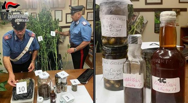 Cucinava piatti a base di cannabis, arrestato lo Chef Chiaramonte: «È la cucina del terzo millennio»
