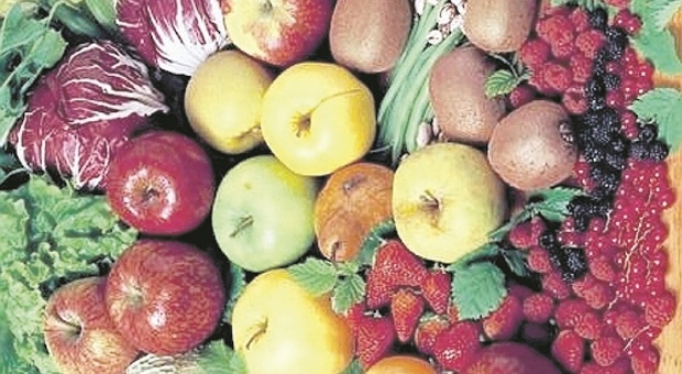 Frutta e verdura sono alla base della dieta mediterranea