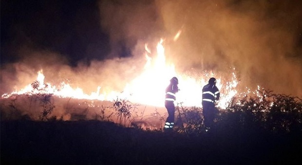 Scoppia l'incendio, notte di fuoco sulle colline di Cupra: il piromane colpisce ancora