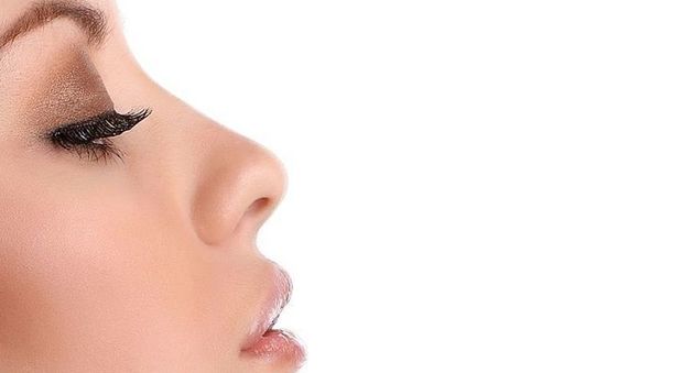 Naso piccolo o pronunciato? Ecco da cosa dipende la dimensione
