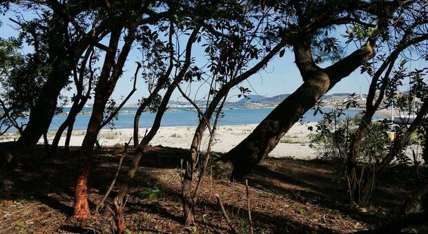 Ripulita e messa in sicurezza l'area verde sulla spiaggia di Villanova: domani l'ultima fase dei lavori