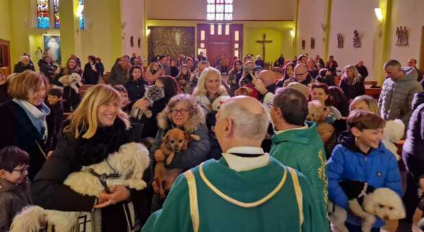 San Benedetto, grande festa alla Sacra Famiglia per la tradizionale benedizione degli animali. Tanti i bambini