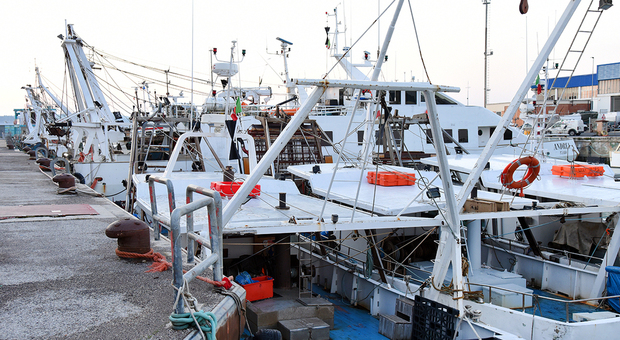 Carburante alle stelle l incubo dei pescatori: «Ogni mese in perdita»