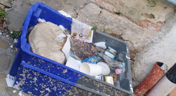 Pesaro, immondizia nel salotto buono: rifiuti abbandonati vicino al teatro Rossini