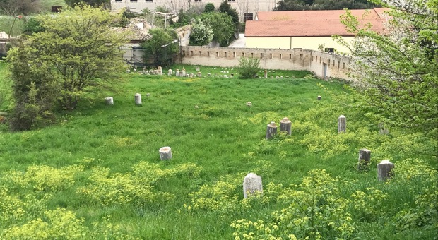 Il cimitero ebraico del Cardeto ad Ancona