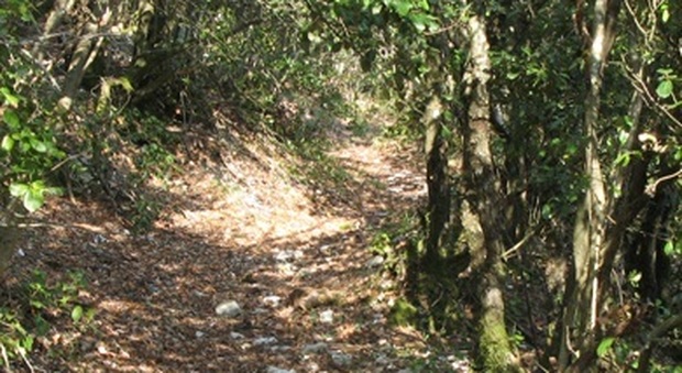Un tratto del sentiero 259 per escursionisti esperti