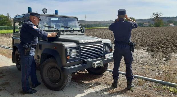 I carabinieri forestali durante i controlli