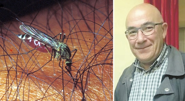 Rischio virus Usutu a Montelupone: scatta l'ordinanza anti zanzare