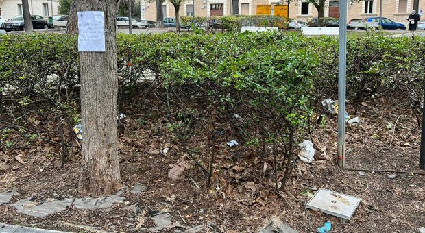 L hater degli animali è tornato in azione: esche trappola trovate nel quartiere Adriatico