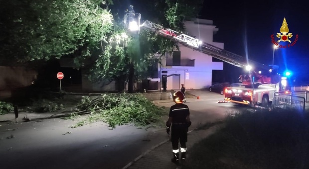Il vento fa strage di alberi e Castignano scoperchia un edificio, super lavoro per i vigili del fuoco