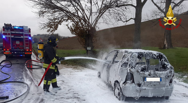 Auto in fiamme lungo la provinciale 2, intervento dei vigili del fuoco