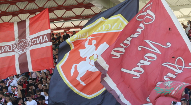 Tentano di aggreddire i tifosi della squadra avversaria, scatta il Daspo per due supporters dell'Ancona-Matelica