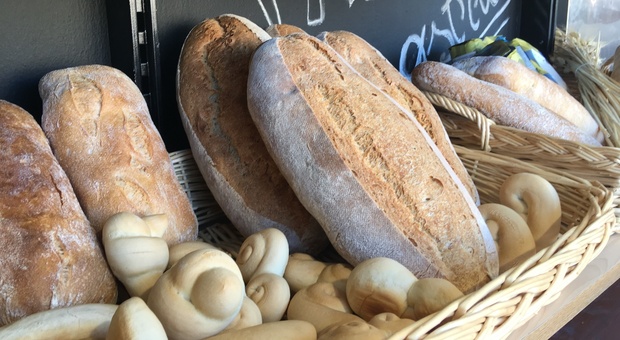 Farina, acqua e rincari: il pane a peso d’oro. Quanto costa in media al chilo nelle Marche. Record di aumenti, ecco perché